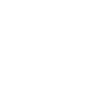 Disabled Access
